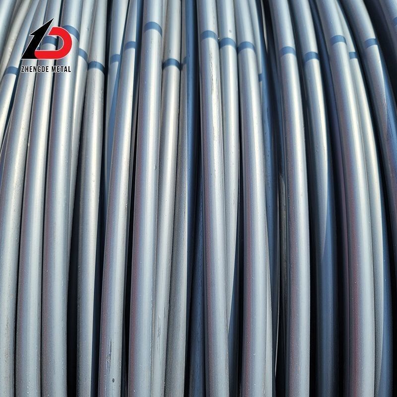 Hot Rolled SAE 1006 1008 1010 Q195 Q235 1045 Alloy Mild Ms 5.5mm 6.5mm Iron Wire Rod